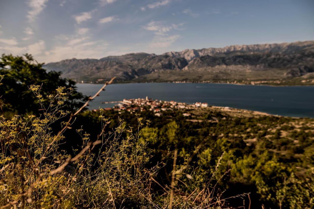 Willa La Familia, Zadar, Vinjerac Zewnętrze zdjęcie